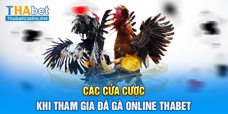 Các cửa cược khi tham gia đá gà online Thabet